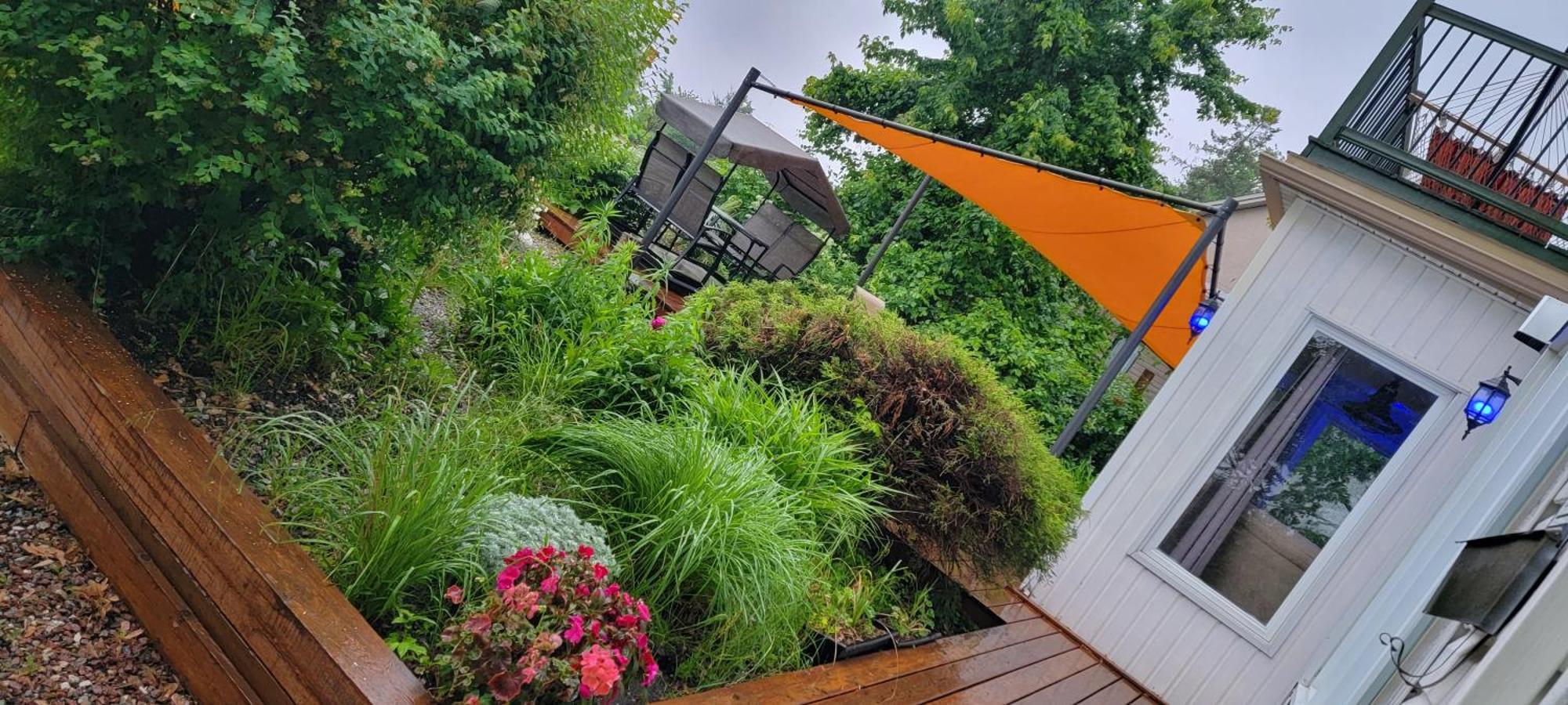 Kokomo Inn Bed And Breakfast Ottawa-Gatineau'S Only Tropical Riverfront B&B On The National Capital Cycling Pathway Route Verte #1 - For Adults Only - Chambre D'Hotes Tropical Aux Berges Des Outaouais Bnb #17542O Ngoại thất bức ảnh